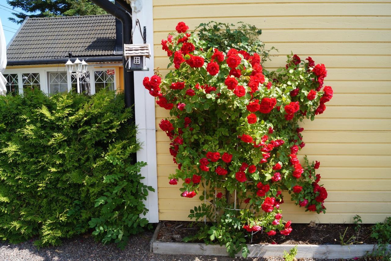 Drei Jahreszeiten Köpingsvik Exterior foto